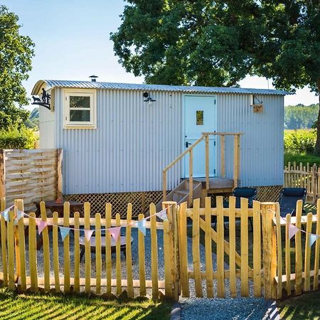 The Hideaway Hut - 1 Bed Shepherds Hut - Hereford Lejlighed Eksteriør billede