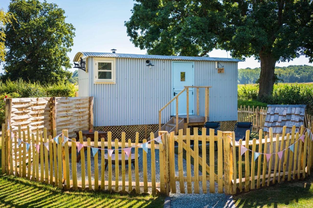 The Hideaway Hut - 1 Bed Shepherds Hut - Hereford Eksteriør billede